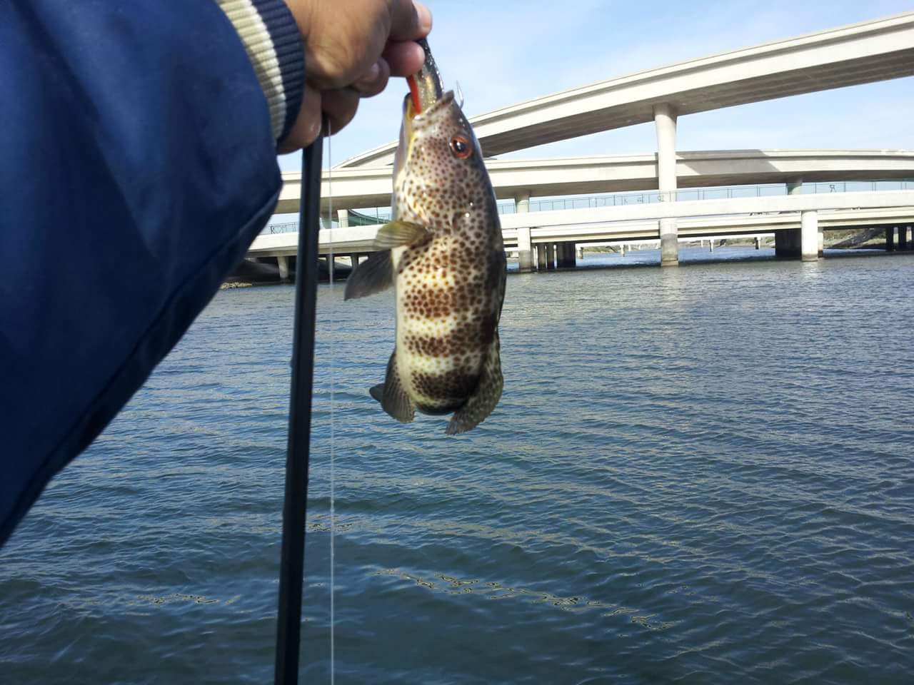 Targeting Spotted Bay Bass - A Swimbait Slam! - FishtFight