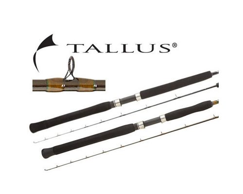 Shimano Tallus Blue Water Series – 2017 Rod Review